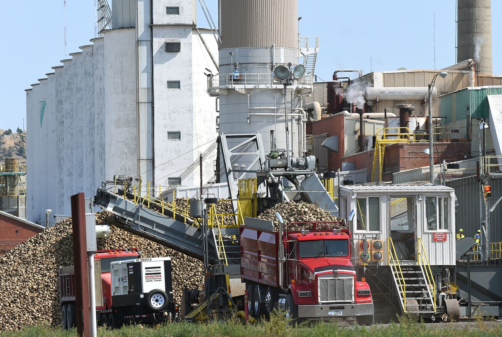 Sugar harvest